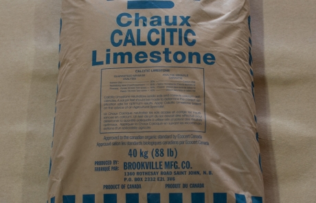 Brookville Calcitic Limestone